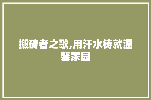 搬砖者之歌,用汗水铸就温馨家园 搬砖者之歌,用汗水铸就温馨家园 户内维修