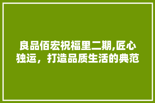 良品佰宏祝福里二期,匠心独运，打造品质生活的典范 良品佰宏祝福里二期,匠心独运，打造品质生活的典范 居家维修